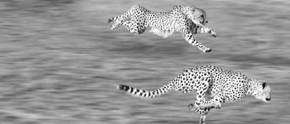 Kundenwünsche Kundenwünsche